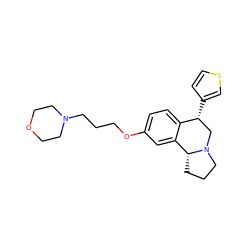 c1cc([C@@H]2CN3CCC[C@@H]3c3cc(OCCCN4CCOCC4)ccc32)cs1 ZINC000028903540