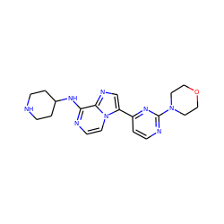 c1cc(-c2cnc3c(NC4CCNCC4)nccn23)nc(N2CCOCC2)n1 ZINC000169701227