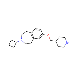 c1cc2c(cc1OCC1CCNCC1)CCN(C1CCC1)CC2 ZINC000103244682