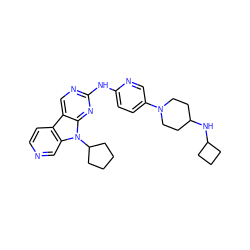 c1cc2c3cnc(Nc4ccc(N5CCC(NC6CCC6)CC5)cn4)nc3n(C3CCCC3)c2cn1 ZINC000169706917