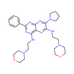 c1ccc(-c2nc(NCCN3CCOCC3)c3nc(NCCN4CCOCC4)c(N4CCCC4)nc3n2)cc1 ZINC000142875818