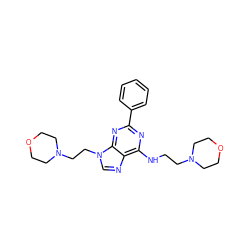 c1ccc(-c2nc(NCCN3CCOCC3)c3ncn(CCN4CCOCC4)c3n2)cc1 ZINC000208038034