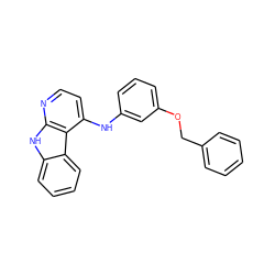 c1ccc(COc2cccc(Nc3ccnc4[nH]c5ccccc5c34)c2)cc1 ZINC000169312100