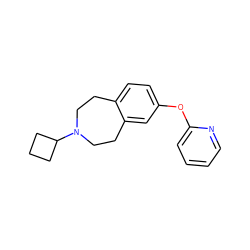 c1ccc(Oc2ccc3c(c2)CCN(C2CCC2)CC3)nc1 ZINC000103243312