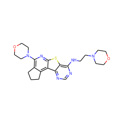 c1nc(NCCN2CCOCC2)c2sc3nc(N4CCOCC4)c4c(c3c2n1)CCC4 ZINC000020390750